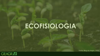 45
ECOFISIOLOGIA
Fonte: Blog da Aegro, 2025.
 