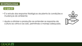 46
ECOFISIOLOGIA
O QUE É?
• É o estudo das respostas fisiológicas da planta às condições e
mudanças do ambiente;
• Ajuda a otimizar a produção ao entender as respostas da
cultura ao clima e ao solo, permitindo o manejo adequado.
 