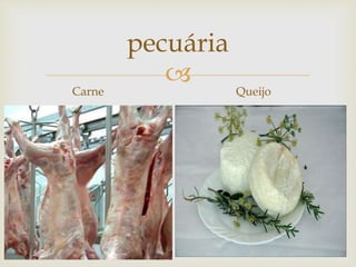 
pecuária
Carne Queijo
 