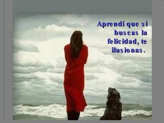 Aprendí que si buscas la felicidad, te ilusionas.