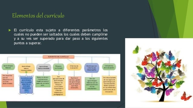 Elementos del currículo
 El currículo esta sujeto a diferentes parámetros los
cuales no pueden ser saltados los cuales de...