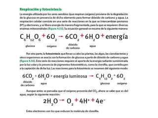 Aprend 52 tercer trimestre