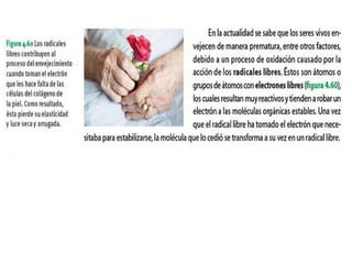 Aprend 52 tercer trimestre