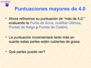 Puntuaciones mayores de 4.0
• Ahora refinemos su puntuación de “más de 4.0,”
  evaluando la Punta de Anca, costillas Ultimas,
  Puntas de Nalga y Puntas de Cadera.

• La puntuación incrementará tanto más en
  cuanto estas partes estén cubiertas de grasa.

• Qué partes puede ver?
 