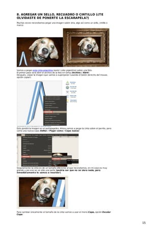 8. AGREGAR UN SELLO, RECUADRO O CINT ILLO (¿T E
OLVIDAST E DE PONERT E LA ESCARAPELA?)
Muchas veces necesitamos pegar una imagen sobre otra, algo así como un sello, cintillo o
marco:

Vamos a pegar esta cinta argentina (autor: Lobo argentino) sobre una foto.
El primer paso será abrir el archivo de la foto en Gimp (Archivo / Abrir).
Después, copiar la imagen que vamos a superponer (usando el botón derecho del mouse,
opción copiar):

Esto pondrá la imagen en el portapapeles. Ahora vamos a pegar la cinta sobre el perrito, pero
como una nueva capa (Editar / Pegar como / Capa nueva)

Seguramente la cinta es de un tamaño diferente al que necesitamos, en mi caso es muy
grande y por eso se ve sólo una parte (podría ser que no se viera nada, pero
inmediat ament e lo vamos a resolver).

Para cambiar únicamente el tamaño de la cinta vamos a usar el menú Capa, opción Escalar
Capa.

15

 