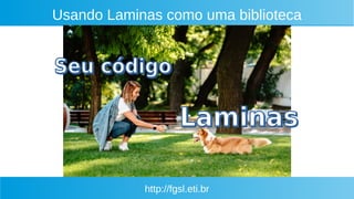 http://fgsl.eti.br
Usando Laminas como uma biblioteca
 
