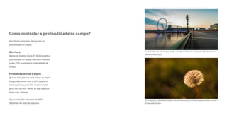 Como controlar a profundidade de campo? 
Dois fatores principais influenciam na 
profundidade de campo: 
Abertura 
Aberturas maiores (como f/1.8) diminuem a 
profundidade de campo. Aberturas menores 
(como f/22) aumentam a profundidade de 
campo. 
Proximidade com o objeto 
Quanto mais próximo você estiver do objeto 
fotografado, menor será o DOF. Usando a 
mesma abertura, uma foto tirada mais de 
perto terá um DOF menor do que uma foto 
tirada mais afastada. 
Veja ao lado dois exemplos de DOFs 
diferentes em fotos da vida real: 
6e. Nesta foto, tudo está em foco, desde o corrimão em frente até a paisagem do fundo. Usou-se 
nela uma abertura f/22. 
6f. Já nesta foto, tirada bem de perto e com uma abertura f/1.8, somente algumas partes do dente 
de leão estão em foco. 
 