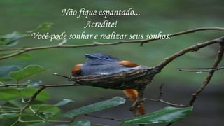 Não fique espantado...
              Acredite!
Você pode sonhar e realizar seus sonhos.
 