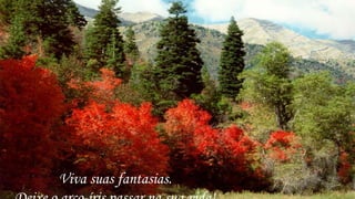 Viva suas fantasias.
 