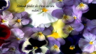 Sinta o poder de Deus ao seu
           redor.
 