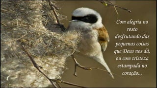 Com alegria no
      rosto
desfrutando das
 pequenas coisas
que Deus nos dá,
 ou com tristeza
  estampada no
    coração...
 