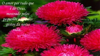 O amor por tudo que
    é de Deus,
  mostrado pelos
pequenos e grandes
  gestos da nossa
      vida...
 