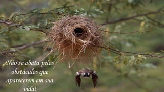 Não se abata pelos
  obstáculos que
aparecerem em sua
      vida!
 