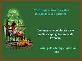 Mostre aos outros que estão invadindo o seu território. Tire uma sonequinha no meio do dia e espreguice antes de levantar. Corra, pule e brinque todos os dias. 