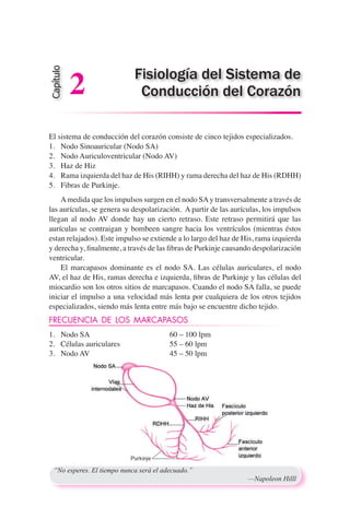 El sistema de conducción del corazón consiste de cinco tejidos especializados.
1.	 Nodo Sinoauricular (Nodo SA)
2.	 Nodo Auriculoventricular (Nodo AV)
3.	 Haz de Hiz
4.	 Rama izquierda del haz de His (RIHH) y rama derecha del haz de His (RDHH)
5.	 Fibras de Purkinje.
	 Amedida que los impulsos surgen en el nodo SAy transversalmente a través de
las aurículas, se genera su despolarización. A partir de las aurículas, los impulsos
llegan al nodo AV donde hay un cierto retraso. Este retraso permitirá que las
aurículas se contraigan y bombeen sangre hacia los ventrículos (mientras éstos
estan relajados). Este impulso se extiende a lo largo del haz de His, rama izquierda
y derecha y, finalmente, a través de las fibras de Purkinje causando despolarización
ventricular.
	 El marcapasos dominante es el nodo SA. Las células auriculares, el nodo
AV, el haz de His, ramas derecha e izquierda, fibras de Purkinje y las células del
miocardio son los otros sitios de marcapasos. Cuando el nodo SA falla, se puede
iniciar el impulso a una velocidad más lenta por cualquiera de los otros tejidos
especializados, siendo más lenta entre más bajo se encuentre dicho tejido.
FRECUENCIA DE LOS MARCAPASOS
1.	 Nodo SA 	 60 – 100 lpm
2.	 Células auriculares	 55 – 60 lpm
3.	 Nodo AV	 45 – 50 lpm
“No esperes. El tiempo nunca será el adecuado.”
	 —Napoleon Hilll
Capítulo
2 Fisiología del Sistema de
Conducción del Corazón
 