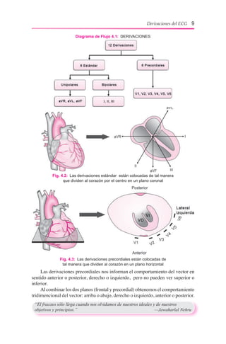 Fig. 4.2:  Las derivaciones estándar están colocadas de tal manera
que dividen al corazón por el centro en un plano coronal
Diagrama de Flujo 4.1:  DERIVACIONES
“El fracaso sólo llega cuando nos olvidamos de nuestros ideales y de nuestros
objetivos y principios.”	 —Jawaharlal Nehru
Derivaciones del ECG 9
Fig. 4.3:  Las derivaciones precordiales están colocadas de
tal manera que dividen al corazón en un plano horizontal
Las derivaciones precordiales nos informan el comportamiento del vector en
sentido anterior o posterior, derecho o izquierdo, pero no pueden ver superior o
inferior.
Al combinar los dos planos (frontal y precordial) obtenemos el comportamiento
tridimencional del vector: arriba o abajo, derecho o izquierdo, anterior o posterior.
 