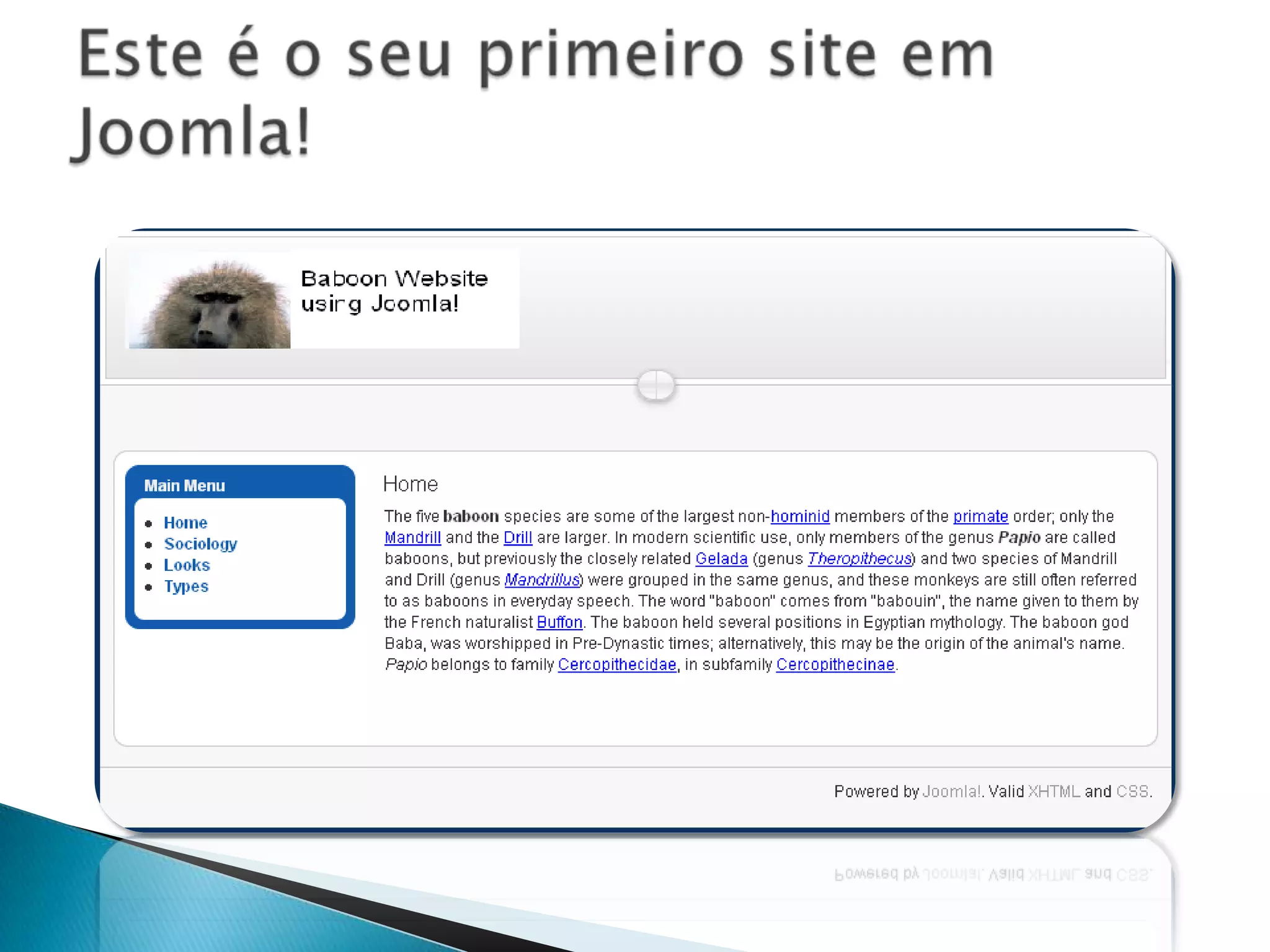 J! É um “Sistema de gerenciamento de conteúdo” que significa que é um sistema  criado para gerenciar diferentes tipos de conteúdosTodo o conteúdoestáguardadoemuma base de dados.