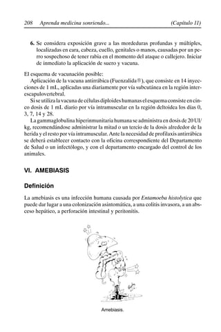 208 (Capítulo 11)
Aprenda medicina sonriendo...
6. Se considera exposición grave a las mordeduras profundas y múltiples,
localizadas en cara, cabeza, cuello, genitales o manos, causadas por un pe-
rro sospechoso de tener rabia en el momento del ataque o callejero. Iniciar
de inmediato la aplicación de suero y vacuna.
El esquema de vacunación posible:
Aplicación de la vacuna antirrábica (FuenzalidaR), que consiste en 14 inyec-
ciones de 1 mL, aplicadas una diariamente por vía subcutánea en la región inter-
escapulovertebral.
Siseutilizalavacunadecélulasdiploideshumanaselesquemaconsisteencin-
co dosis de 1 mL diario por vía intramuscular en la región deltoidea los días 0,
3, 7, 14 y 28.
La gammaglobulina hiperinmunitaria humana se administra en dosis de 20 UI/
kg, recomendándose administrar la mitad o un tercio de la dosis alrededor de la
herida y el resto por vía intramuscular. Ante la necesidad de profilaxis antirrábica
se deberá establecer contacto con la oficina correspondiente del Departamento
de Salud o un infectólogo, y con el departamento encargado del control de los
animales.
VI. AMEBIASIS
Definición
La amebiasis es una infección humana causada por Entamoeba histolytica que
puede dar lugar a una colonización asintomática, a una colitis invasora, a un abs-
ceso hepático, a perforación intestinal y peritonitis.
Amebiasis.
 