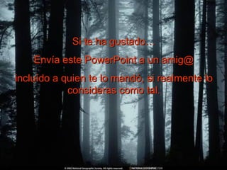 Si te ha gustado… Envía este PowerPoint a un amig@ incluído a quien te lo mandó, si realmente lo consideras como tal. 