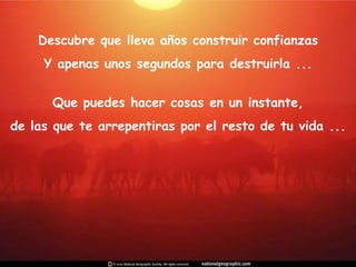 Descubre que lleva años construir confianzas Y apenas unos segundos para destruirla ... Que puedes hacer cosas en un instante, de las que te arrepentiras por el resto de tu vida ... 