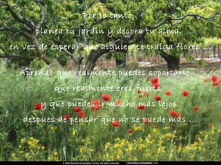 Por lo tanto,  planea tu jardin y decora tu alma,  en vez de esperar que alguien te traiga flores ... Aprende que realmente puedes soportarlo...  que realmente eres fuerte,  y que puedes ir mucho más lejos  despues de pensar que no se puede más ... 