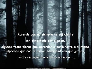 Aprende que no siempre es suficiente  ser perdonado por alguien,  algunas veces tienes que aprender a perdonarte a ti mismo. Aprende que con la misma severidad con que juzgas, serás en algún momento condenado ... 