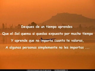 Despues de un tiempo aprendes  Que el Sol quema si quedas expuesto por mucho tiempo Y aprende que no importa cuanto te valoras, A algunas personas simplemente no les importas ... 