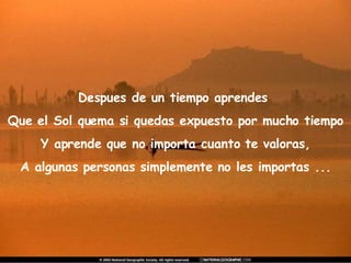 Despues de un tiempo aprendes  Que el Sol quema si quedas expuesto por mucho tiempo Y aprende que no importa cuanto te valoras, A algunas personas simplemente no les importas ... 