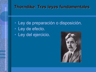 Thorndike: Tres leyes fundamentales Ley de preparación o disposición. Ley de efecto. Ley del ejercicio. 