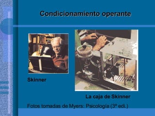 Condicionamiento operante Skinner La caja de Skinner Fotos tomadas de Myers: Psicología (3ª edi.) 