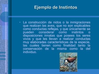 Ejemplo de Instintos La construcción de nidos o la inmigraciones que realizan las aves, que no son explicables como conductas reflejas, y que únicamente se pueden considerar como instintos o disposiciones innatas que posees los seres vivos y que les llevan a realizar conductas muy elaboradas características de la especie, las cuales tienen como finalidad tanto la conservación de la misma como la del individuo.  