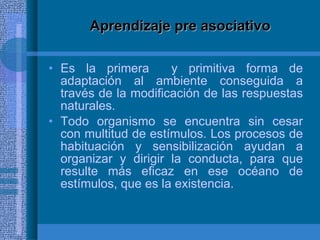Aprendizaje pre asociativo Es la primera  y primitiva forma de adaptación al ambiente conseguida a través de la modificación de las respuestas naturales. Todo organismo se encuentra sin cesar con multitud de estímulos. Los procesos de habituación y sensibilización ayudan a organizar y dirigir la conducta, para que resulte más eficaz en ese océano de estímulos, que es la existencia.  