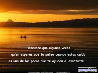 Descubre que algunas veces  quien esperas que te patee cuando estas caido  es una de los pocos que te ayudan a levantarte ... 