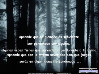 Aprende que no siempre es suficiente  ser perdonado por alguien,  algunas veces tienes que aprender a perdonarte a ti mismo. Aprende que con la mtsma severidad com que juzgas, serás en algun momento condenado ... 