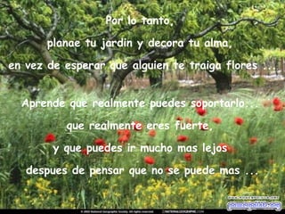 Por lo tanto,  planae tu jardin y decora tu alma,  en vez de esperar que alguien te traiga flores ... Aprende que realmente puedes soportarlo...  que realmente eres fuerte,  y que puedes ir mucho mas lejos  despues de pensar que no se puede mas ... 