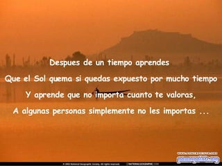 Despues de un tiempo aprendes  Que el Sol quema si quedas expuesto por mucho tiempo Y aprende que no importa cuanto te valoras, A algunas personas simplemente no les importas ... 