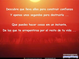 Descubre que lleva años para construir confianza Y apenas unos segundos para destruirla ... Que puedes hacer cosas em un instante, De las que te arrepentiras por el resto de tu vida ... 