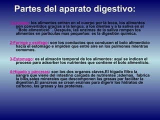 Partes del aparato digestivo: 1-La boca : los alimentos entran en el cuerpo por la boca, los alimentos son convertidos gracias a la lengua, a los dientes y a la saliva en el ``Bolo alimenticio´´. Después, las enzimas de la saliva rompen los alimentos en partículas mas pequeñas: es la digestión química. 2-Faringe y esófago : son los conductos que conducen el bolo alimenticio hacia el estomago e impiden que entre aire en los pulmones mientras comemos. 3-Estomago :  es el almacén temporal de los alimentos: aquí se indican el proceso para adsorber los nutrientes que contiene el bolo alimenticio. 4-Hígado y páncreas : son los dos organos claves.El higado filtra la sangre que viene del intestino cargada de nutrientes ;ademas,  fabrica la bilis,sales minerales que descomponen las grasas par facilitar la digestion.El pancreas se crean enzinas para digerir los hidratos de carbono, las grasas y las proteinas. 