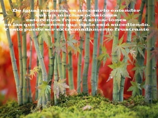 De igual manera, es necesario entender
que en muchas ocasiones
estaremos frente a situaciones
en las que creemos que nada está sucediendo.
Y esto puede ser extremadamente frustrante
 