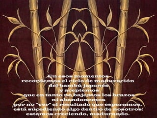 En esos momentos
recordemos el ciclo de maduración
del bambú japonés
y aceptemos
que en tanto no bajemos los brazos
ni abandonemos
por no "ver" el resultado que esperamos,
está sucediendo algo dentro de nosotros:
estamos creciendo, madurando.
 