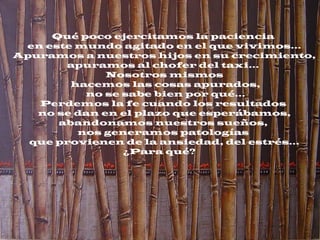 Qué poco ejercitamos la paciencia
en este mundo agitado en el que vivimos...
Apuramos a nuestros hijos en su crecimiento,
apuramos al chofer del taxi...
Nosotros mismos
hacemos las cosas apurados,
no se sabe bien por qué...
Perdemos la fe cuando los resultados
no se dan en el plazo que esperábamos,
abandonamos nuestros sueños,
nos generamos patologías
que provienen de la ansiedad, del estrés...
¿Para qué? 
 