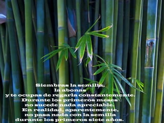 Siembras la semilla,
la abonas
y te ocupas de regarla constantemente.
Durante los primeros meses
no sucede nada apreciable.
En realidad, aparentemente,
no pasa nada con la semilla
durante los primeros siete años.
 