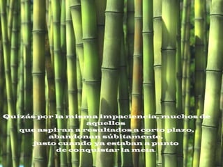 Quizás por la misma impaciencia, muchos de
aquellos
que aspiran a resultados a corto plazo,
abandonan súbitamente,
justo cuando ya estaban a punto
de conquistar la meta. 
 