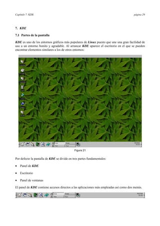 Capítulo 7: KDE página 29
7. KDE
7.1 Partes de la pantalla
KDE es uno de los entornos gráficos más populares de Linux puesto que une una gran facilidad de
uso a un entorno bonito y agradable. Al arrancar KDE aparece el escritorio en el que se pueden
encontrar elementos similares a los de otros entornos:
Figura 21
Por defecto la pantalla de KDE se divide en tres partes fundamentales:
•= Panel de KDE
•= Escritorio
•= Panel de ventanas
El panel de KDE contiene accesos directos a las aplicaciones más empleadas así como dos menús.
 