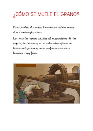 ¿CÓMO SE MUELE EL GRANO?
Para moler el grano, Fermín se coloca entre
dos muelas gigantes.
Las muelas están unidas al mecanismo de las
aspas, de forma que cuando estas giran se
tritura el grano y se transforma en una
harina muy fina.
 