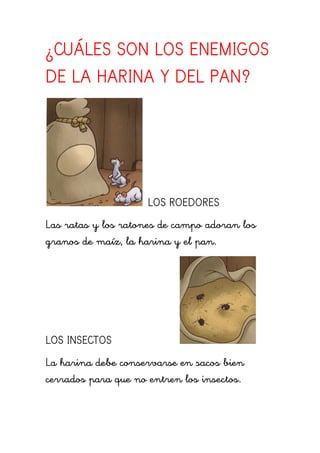 ¿CUÁLES SON LOS ENEMIGOS
DE LA HARINA Y DEL PAN?




                     LOS ROEDORES
Las ratas y los ratones de campo adoran los
granos de maíz, la harina y el pan.




LOS INSECTOS
La harina debe conservarse en sacos bien
cerrados para que no entren los insectos.
 