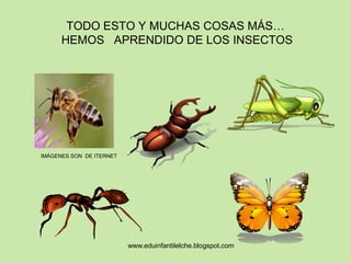 Aprendemos de insectos | PDF