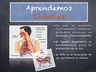 Aprendemos
 Ciencias
      La   voz    es   nuestro
      ins tr um ento   n at u r al,
      debemos      conocer      su
      fisiología y funcionamiento.

      El Aparato Respiratorio es
      fundam ental      para    la
      producción de la voz.

      El Oído es el encargado de
      que percibamos la música.
 