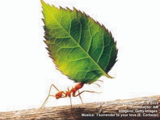 Créditos: Texto: Ninon Rose Hawryliszyn e Silva Formatação: AM Imagens: Getty Images  Música:  I surrender to your love (E. Cortazar) 