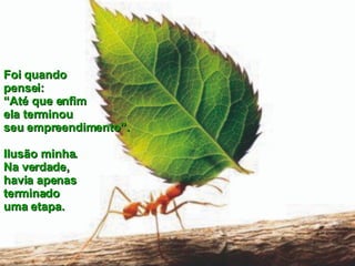Foi quando  pensei:  “Até que enfim  ela terminou  seu empreendimento”.  Ilusão minha.  Na verdade, havia apenas  terminado  uma etapa. 